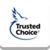 trusted choice agency