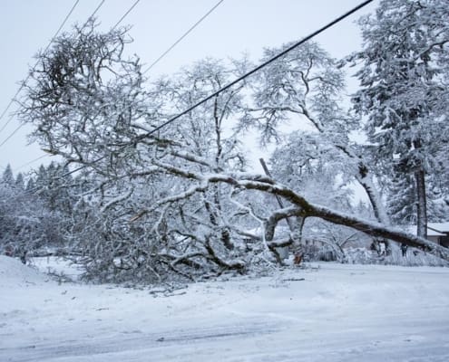 Be Ready for Severe Winter Weather Snowstorms, Ice, and Extreme Cold