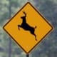 Deer Sign
