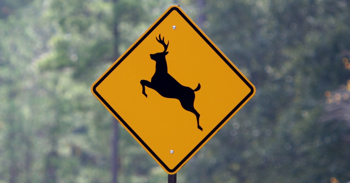 Deer Sign