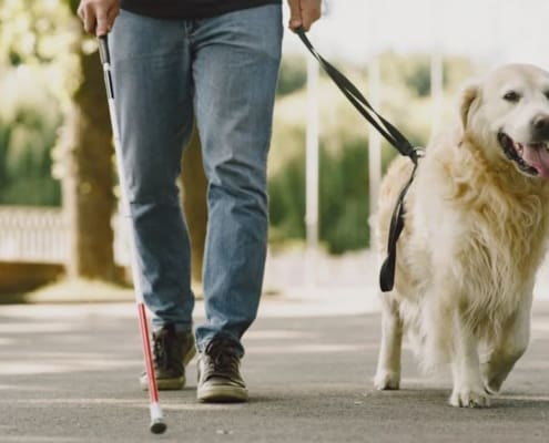 Person using a walking stick