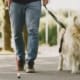Person using a walking stick
