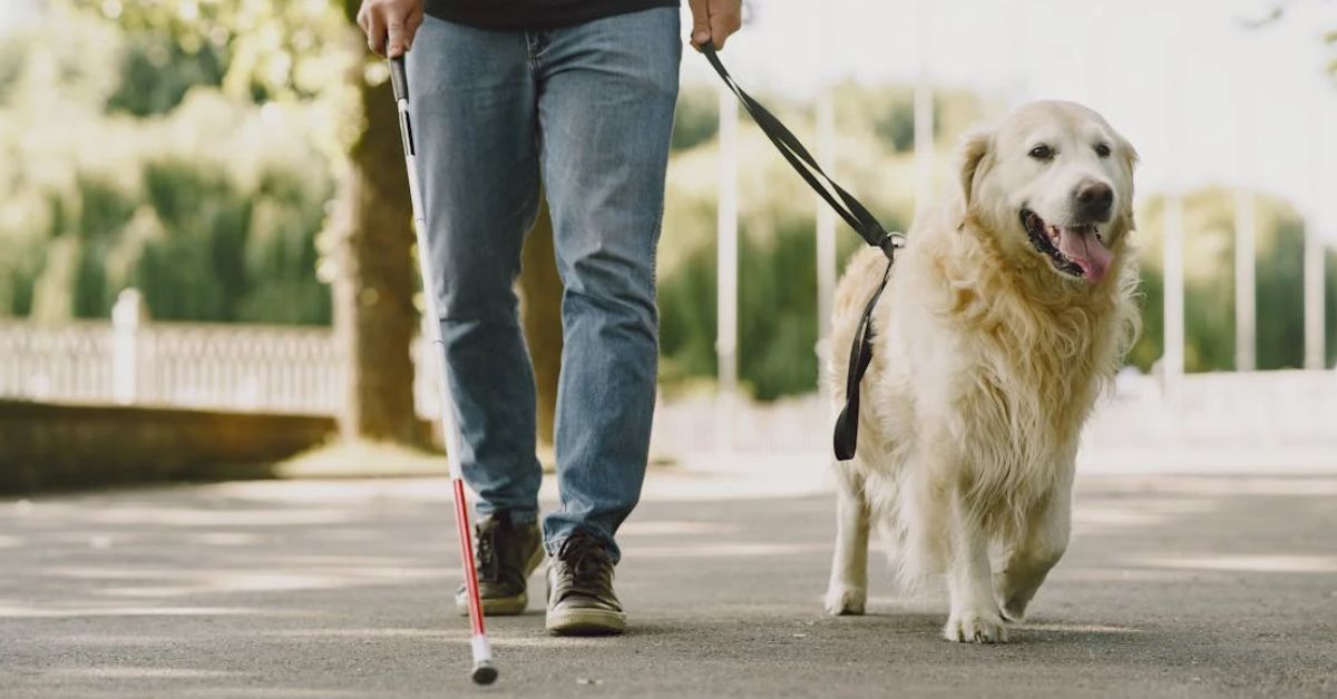 Person using a walking stick