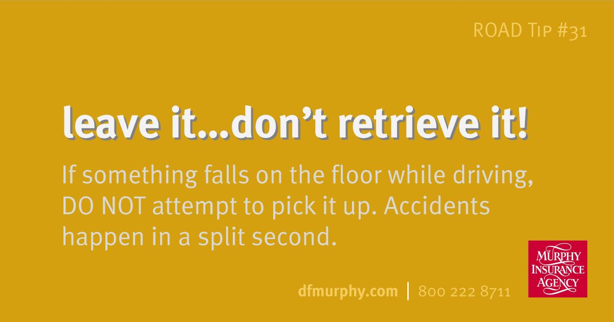 Leave It…Don’t Retrieve it! | Auto Insurance Tips