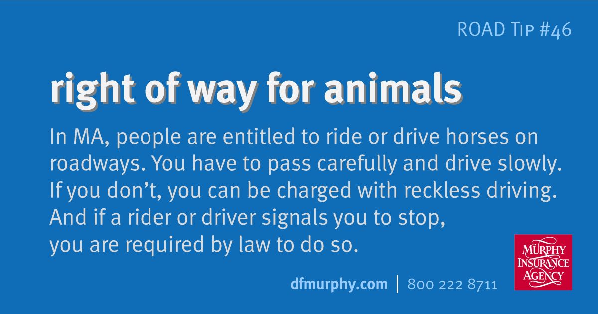 RRules Right of way for animals #46