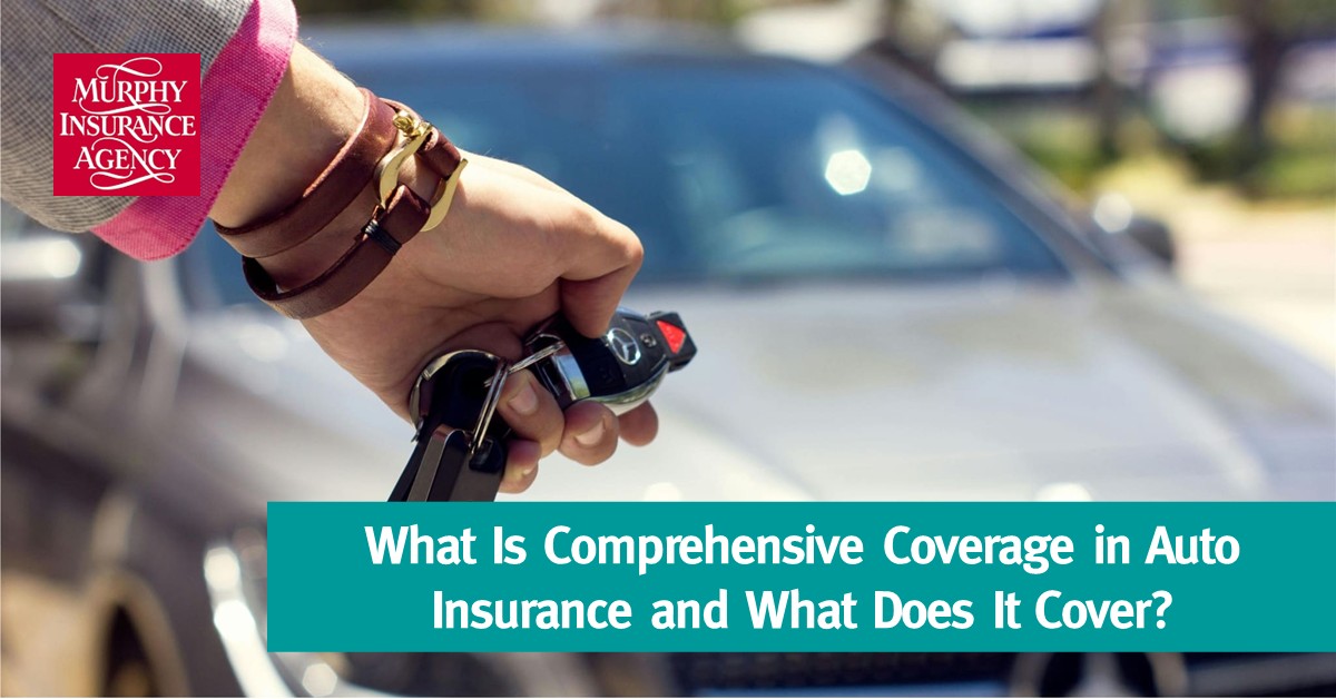What Is Comprehensive Coverage in Auto Insurance and What Does It
